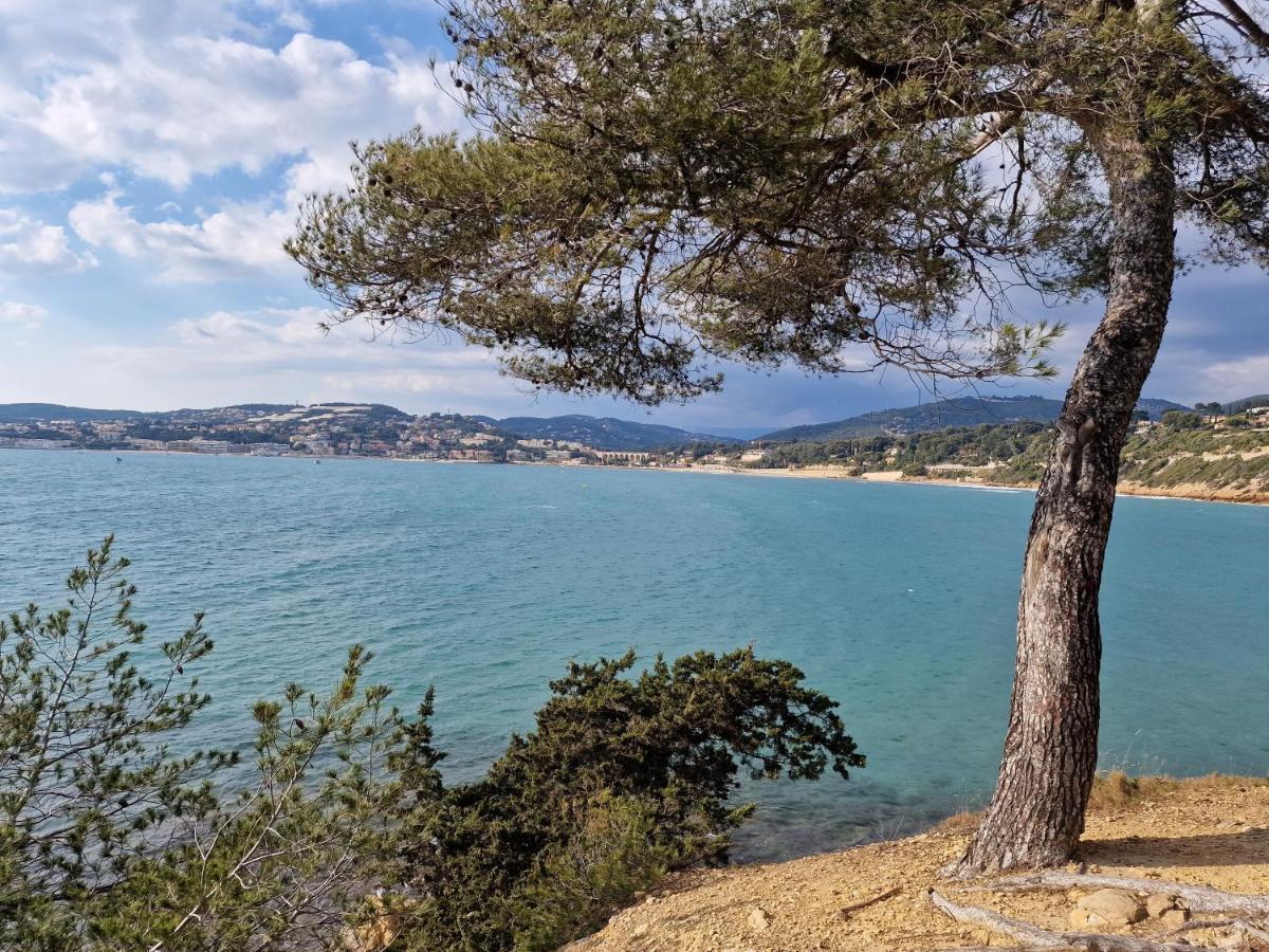 Apartament Sanaritz Sanary-sur-Mer Zewnętrze zdjęcie